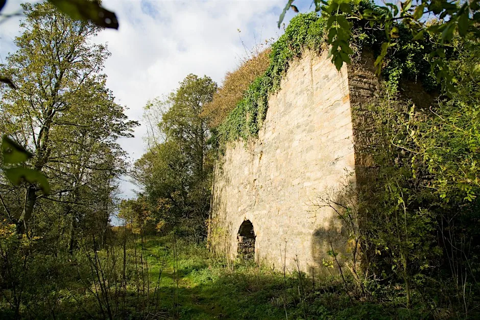 Craighall Woodland Wander at Craighall Den