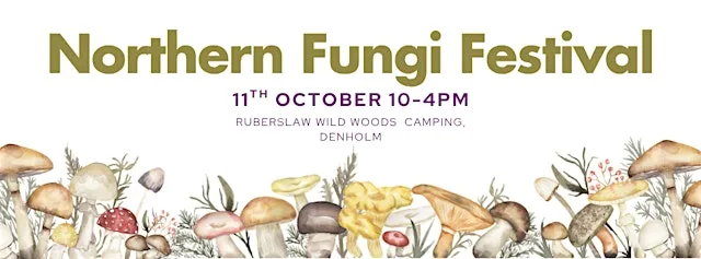 The Northern Fungi Festival
