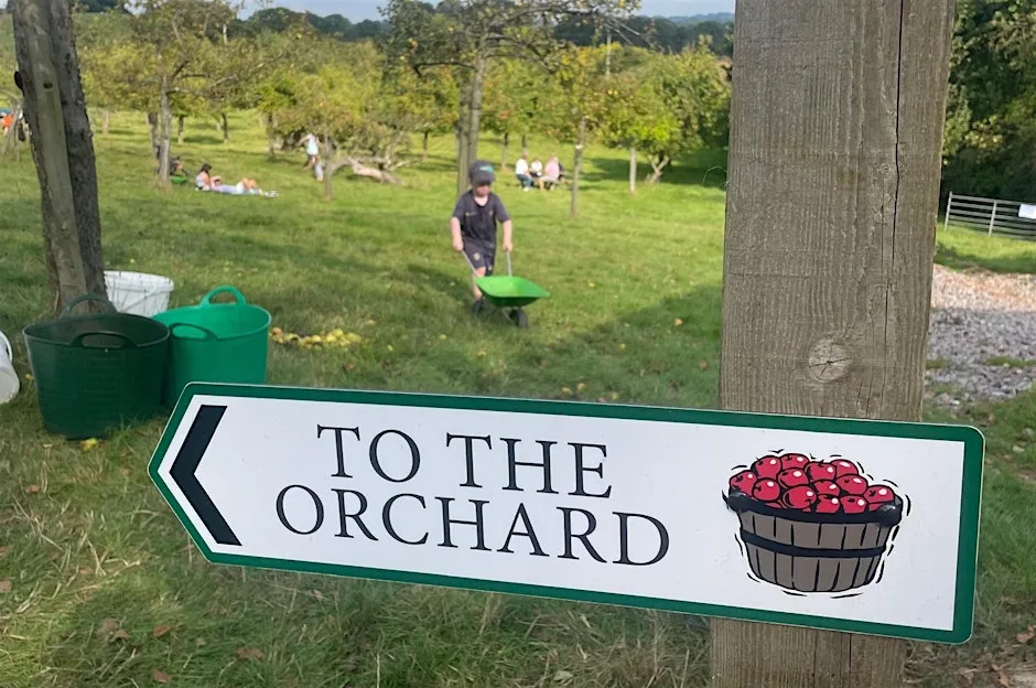 The Big Pick & Cider Fest - Family Weekend at The Old Orchard