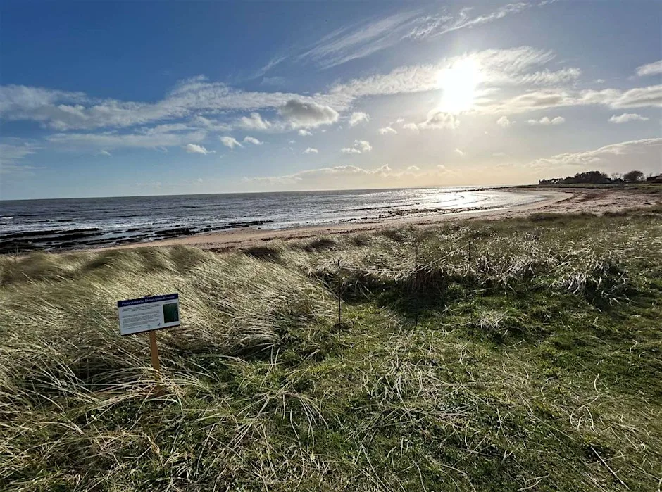 Coastal Erosion and Community-led Coastal Resilience at East Haven Beach