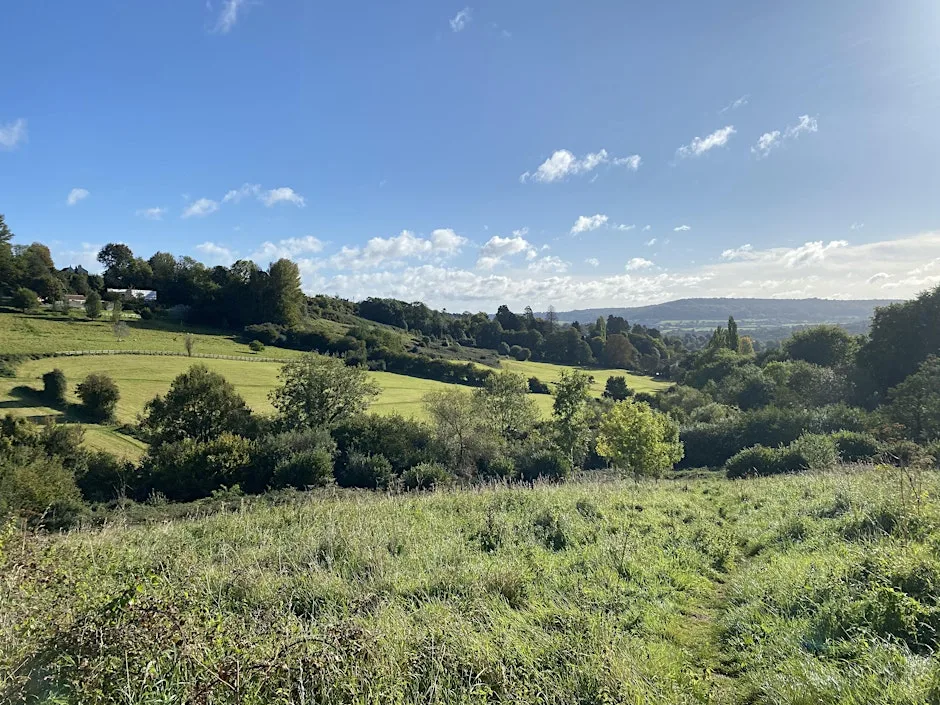 RIBA Bristol & Bath: Charlcombe Community Nature Reserve guided walk and talk