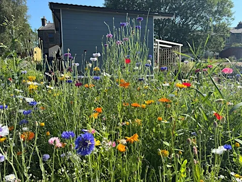 Natures Best - Healing & Wellbeing Retreat at 300 Rochdale Rd