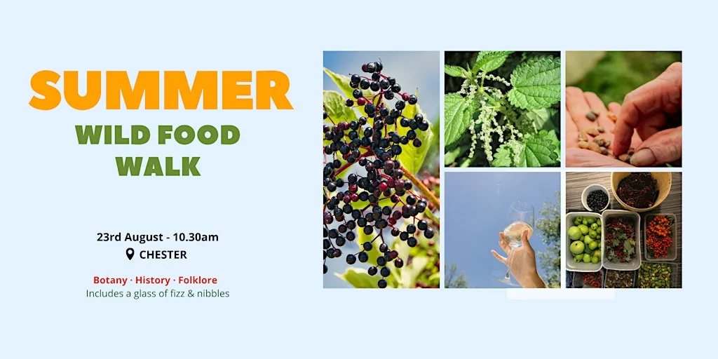Wild Food Walk ☀️ Celebrate Summer at 1 Elmwood Ave