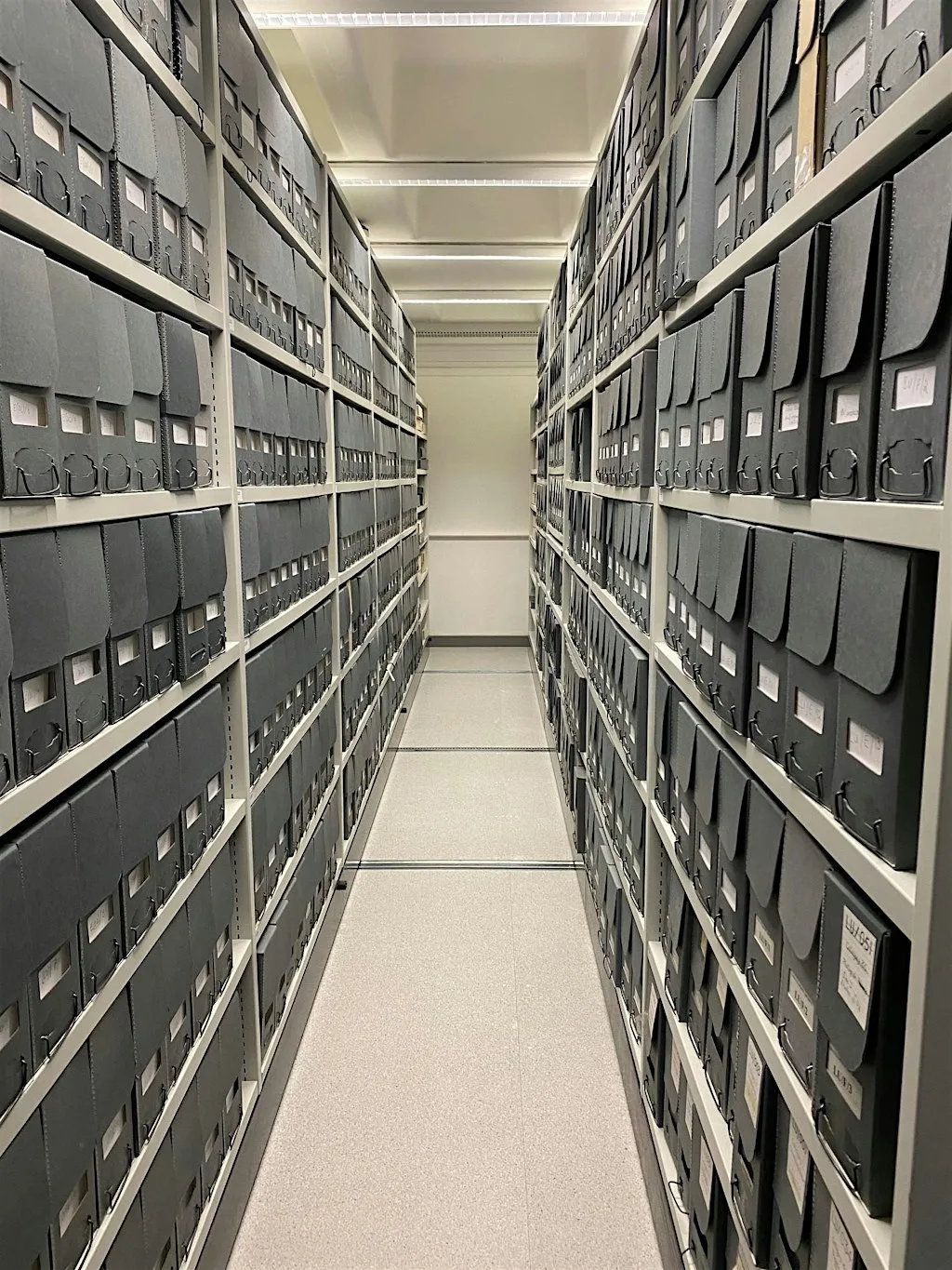 Heritage Open Days: Exploring the University of Surrey's Archives at University of Surrey Library