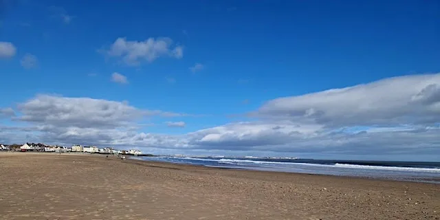 Little Tern Farewell Beach Clean - Seaton Carew Beach