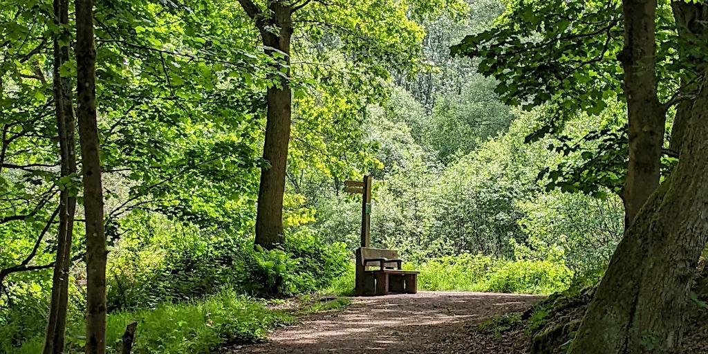 Wellesley Woodlands Evening Health Walk - Wharf Plantation at Wharf Car Park