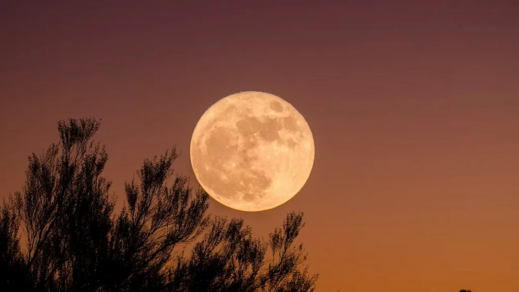 Full Moon: Cacao Ceremony at The Tone Temple