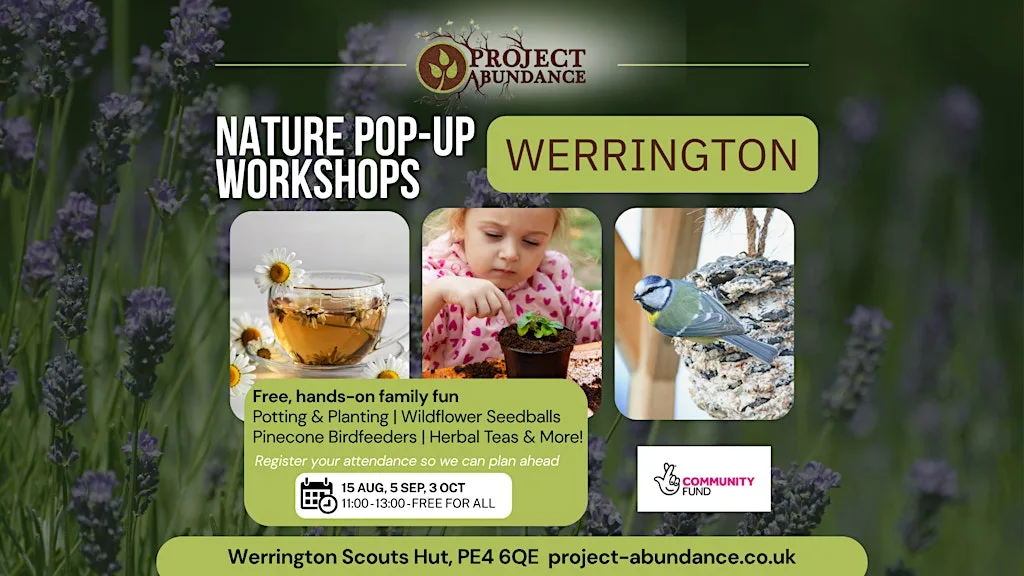 Werrington Pop-Up Nature Workshops at Scout and Guide Council