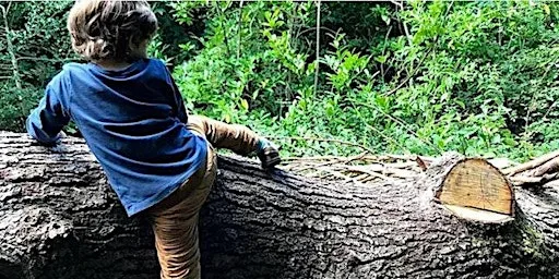 Family Woodland Quest & Adventures at Kingsbury Water Park