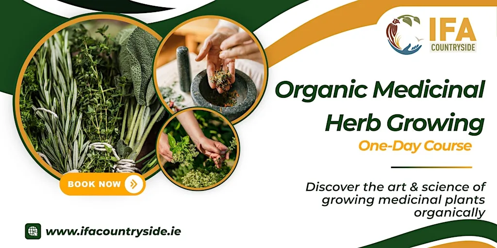 Organic Medicinal Herb Growing at Core College R95 H9H0