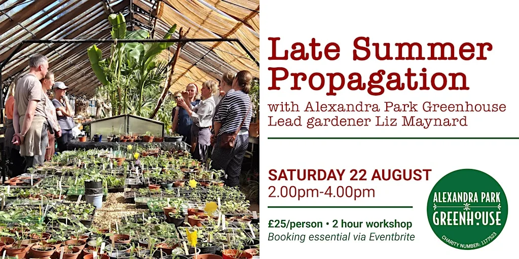 WORKSHOP Late Summer Propagation