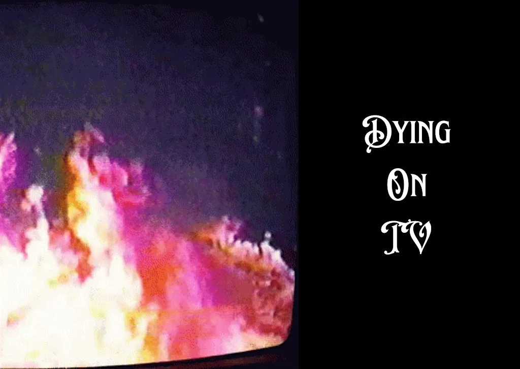 Dying on TV LIVE!: Shaymin, Rykener, The Undead Cat and IJ at Wharf Chambers