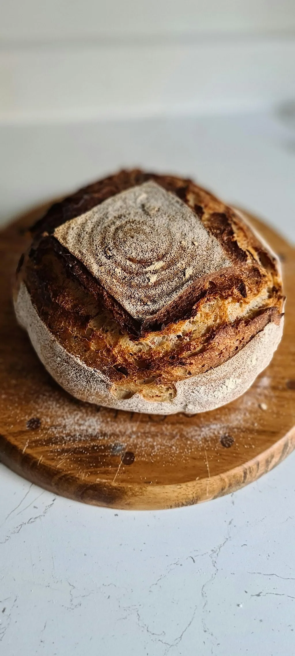 Sourdough & Wholemeal Bread making with Gourmet Lunch