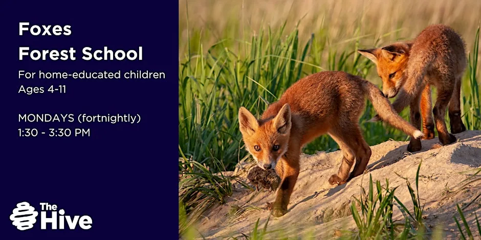 Foxes Forest School (Ages 4-11)- Autumn Term 2026 at The Hive