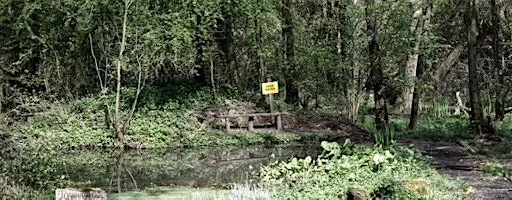 Telford Naturist Club Naked Heart Walk. at Telford Naturist Club, Grange Lane, Telford.  W3W: bloom.options.many