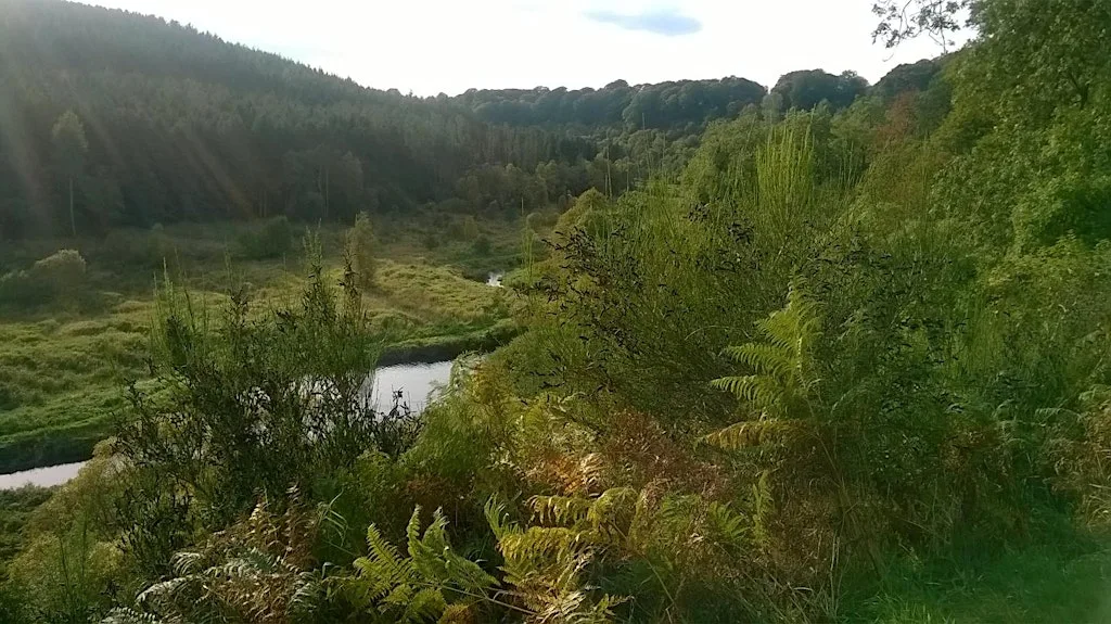 Evening walk at Gight