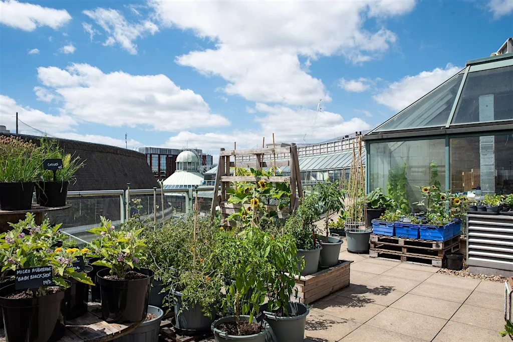 Taste of The Rooftop Farm - Autumn 2026