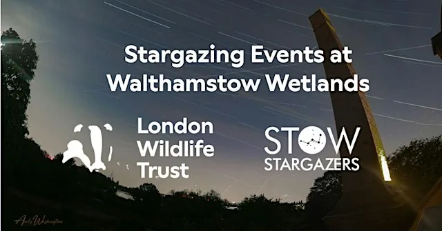 Afrofutures in the Skies: science, imagination and cultural identity at Walthamstow Wetlands