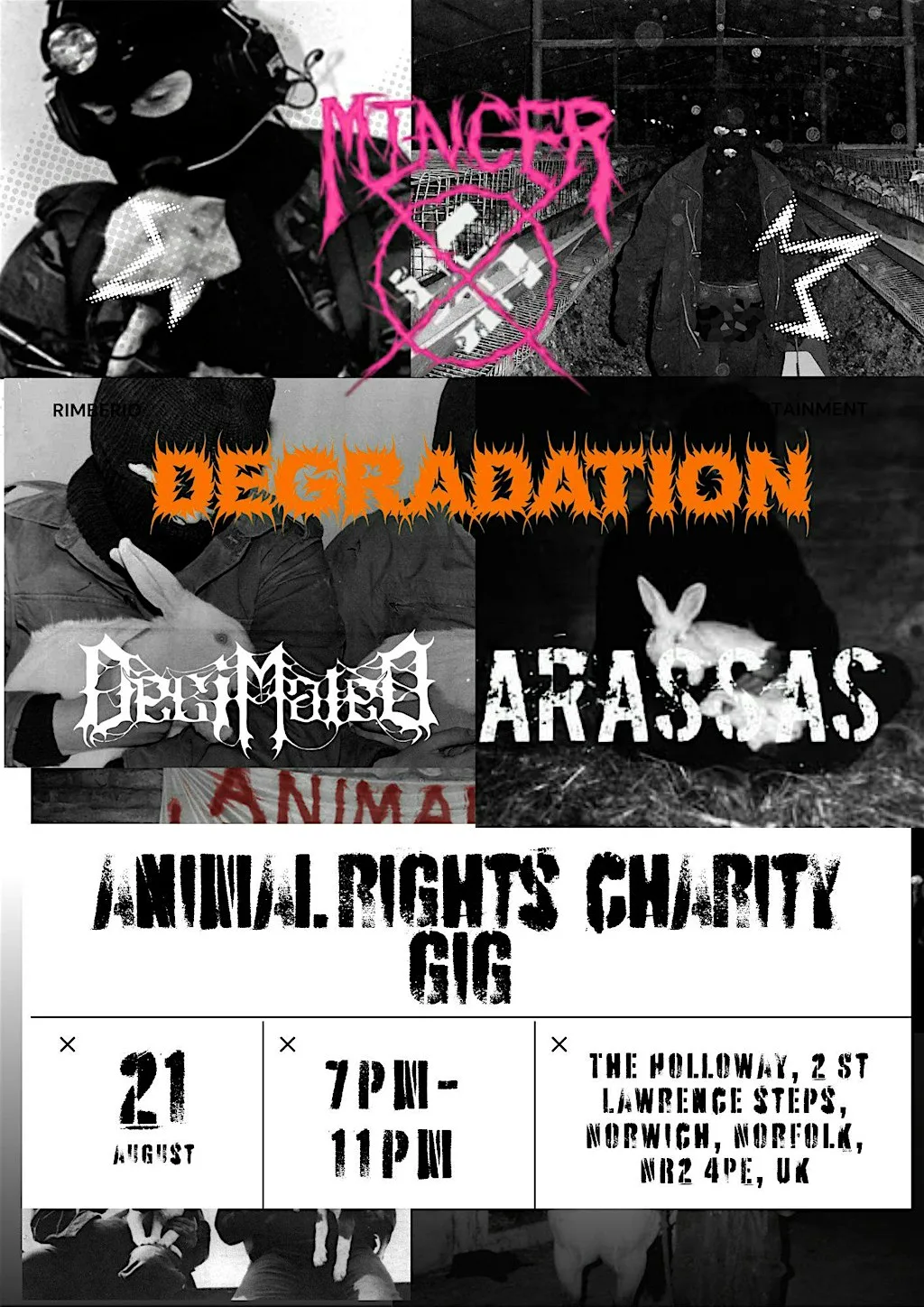 Animal rights charity gig at The Holloway