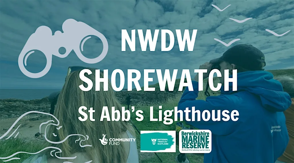 NWDW Shorewatch with NTS: St Abb's Lighthouse at St. Abbs Lighthouse Holiday Cottages