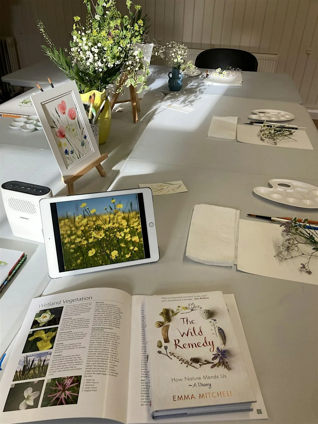 Wildflower Watercolours at Tramore Valley Park EcoLab