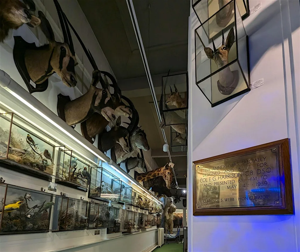 Lunchtime Talks at Kendal Museum: From Kenya to Kendal (and back again?) at Kendal Museum