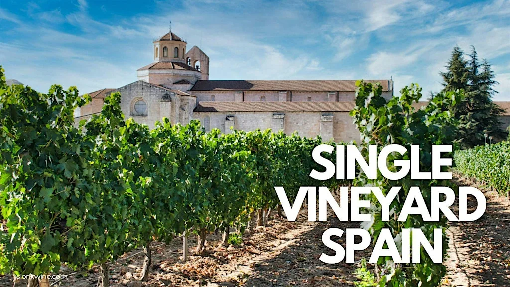 Single Vineyard Spain! Wine Tasting at Port of Leith Distillery