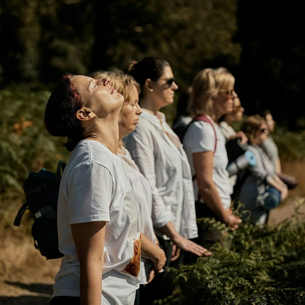 The Wild Pause: Forest Bathing Experience in Richmond Park