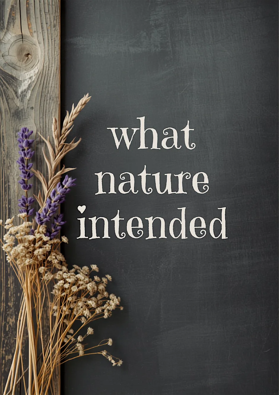 What Nature Intended at Cwmparc Family Wellbeing Hub