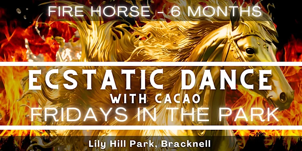 Fire Horse 6 Months Ecstatic Dance With Cacao - Fridays in The Park at Lily Hill Park