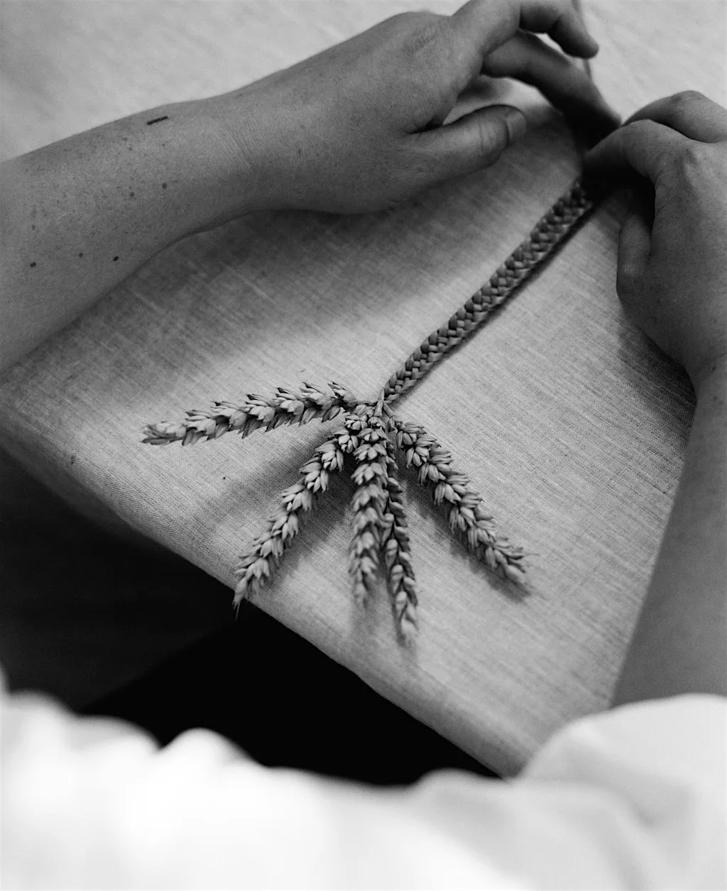 Craft in Conversation | James Fox and Lu Towle