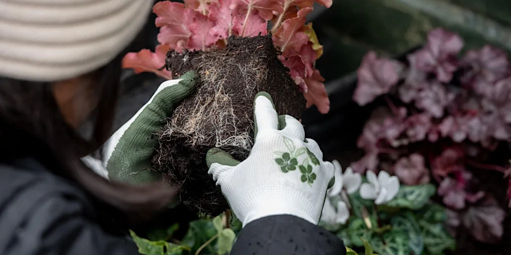 RHS Garden Harlow Carr Career Taster Event at RHS Garden Harlow Carr