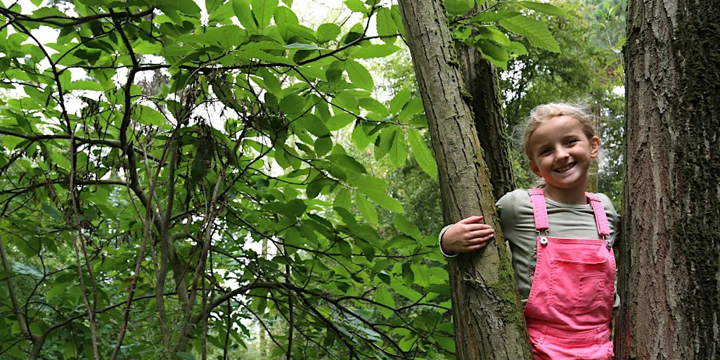 Belfairs Family Forest Fun: Summer Holiday Special at Essex Wildlife Trust Belfairs Nature Discovery Centre
