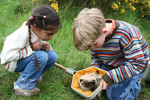Thameside Bugs and Butterflies at Essex Wildlife Trust Thameside Nature Discovery Park