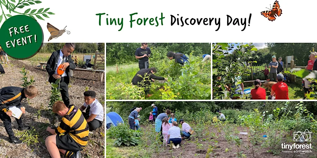 Tiny Forest Discovery and Volunteering Day: Sourton Services, Devon