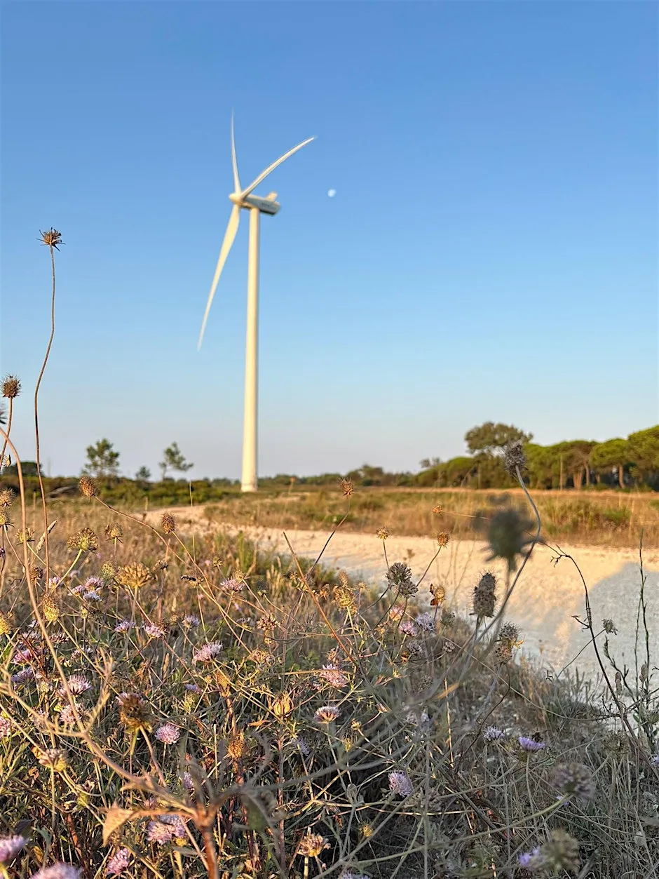 Bigbury Community Wind Turbine - Drop In at Bigbury Memorial Hall