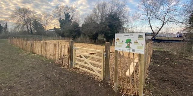 Meadow Lane, Oxford Tiny Forest Monitoring Day