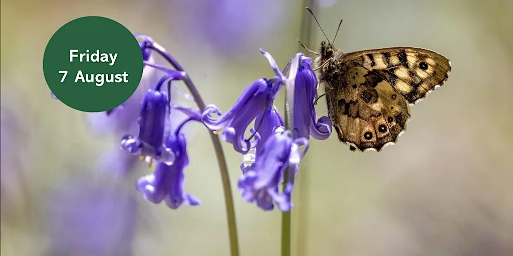 Ouse Burn Way: Butterfly Walk