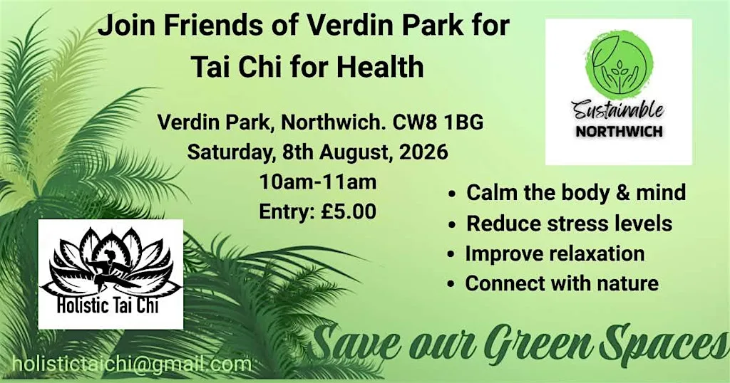 Holistic Tai Chi in Verdin Park at Verdin Park