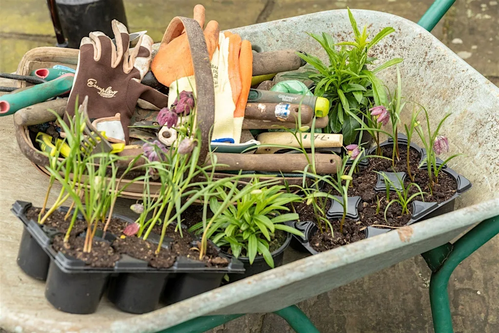 Lincolnshire Environmental Awards and Community Picnic 2026