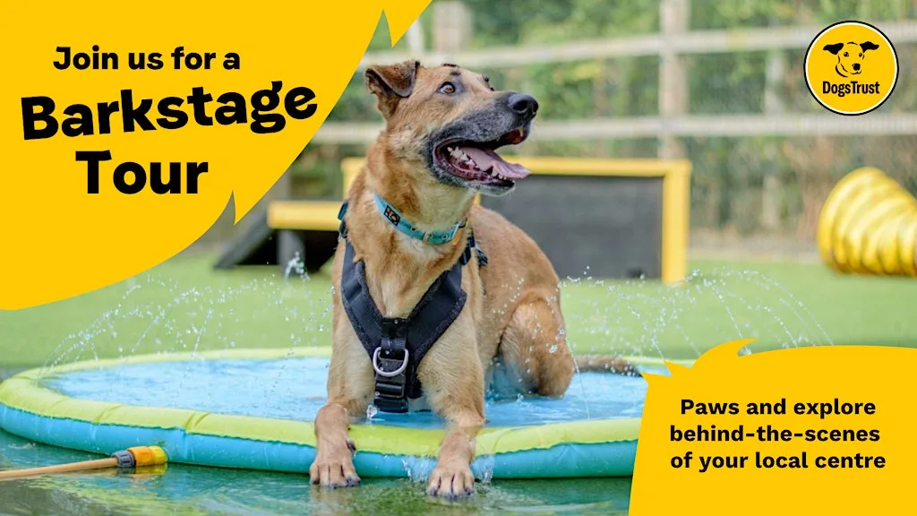 Barkstage Tour at Dogs Trust Shrewsbury
