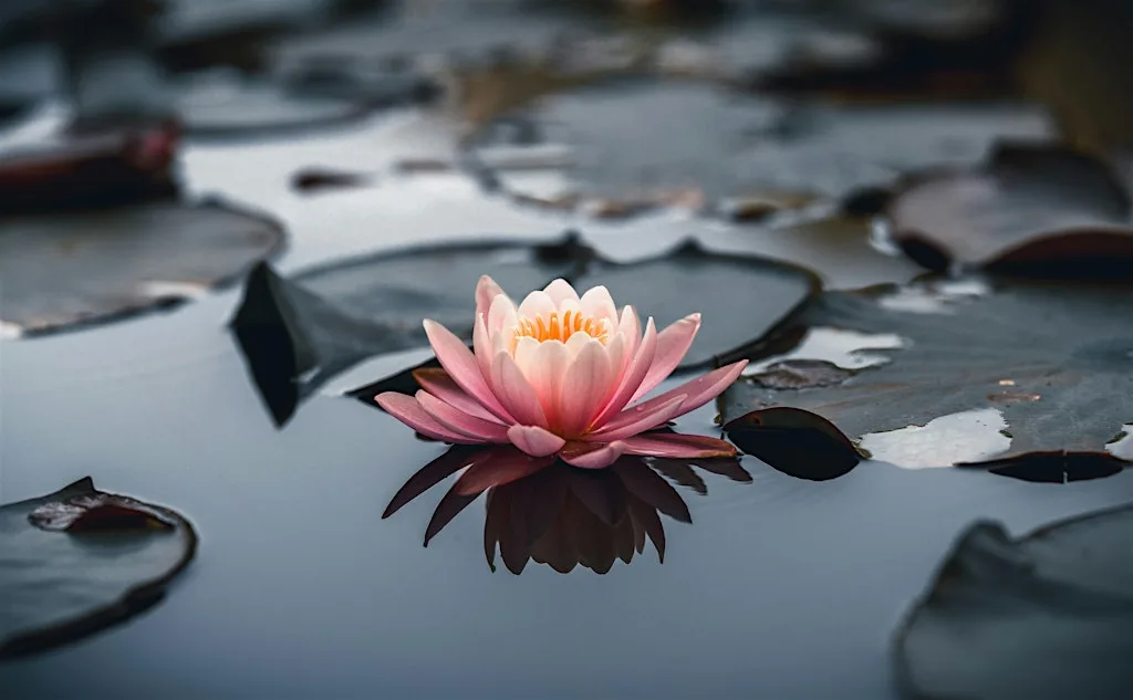 Course in Malvern: How to live a meaningful life