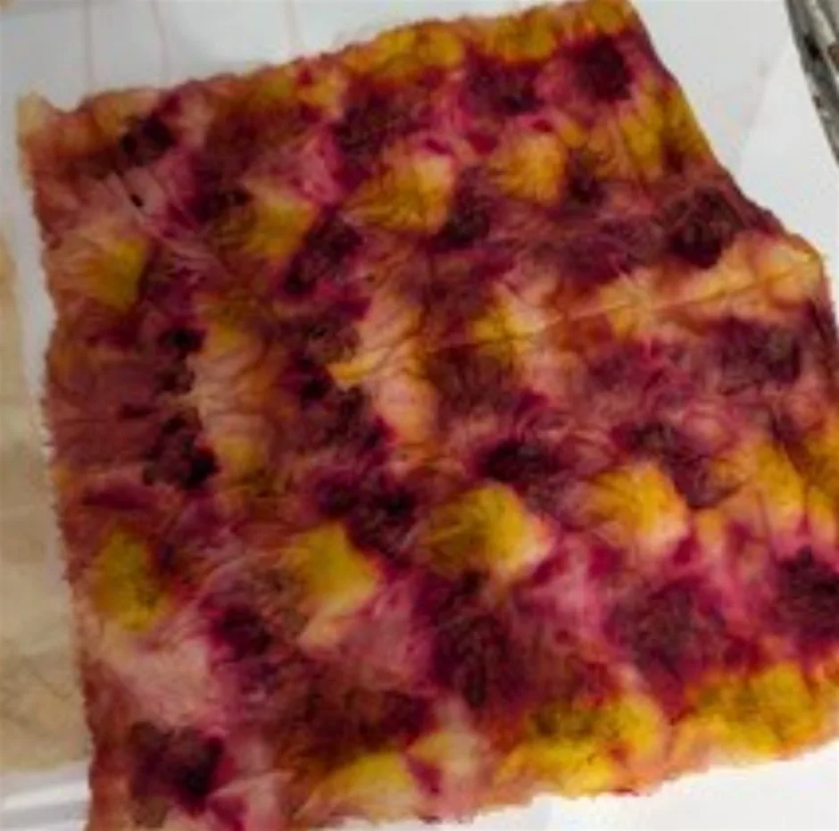 Lliwio Ffabrigau Naturiol / Natural Fabric Dyeing (6-10) at Plas Glyn y Weddw Gallery