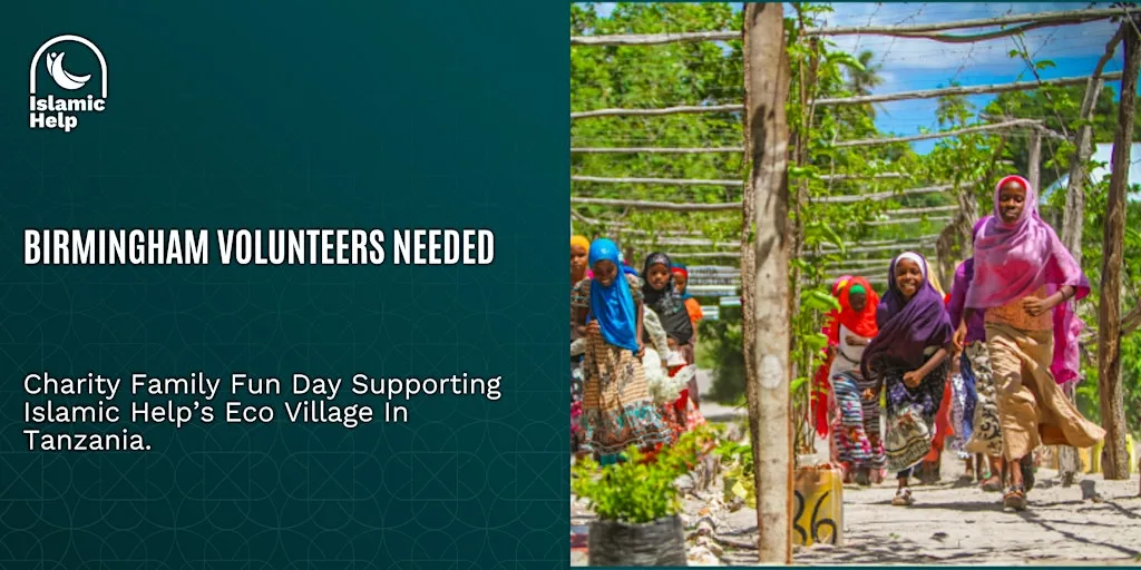 Birmingham Volunteers Needed - Family Fun Day