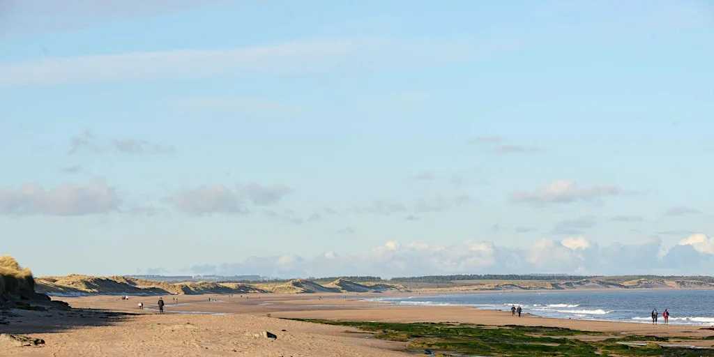 Celebrate our Geordie Shores
