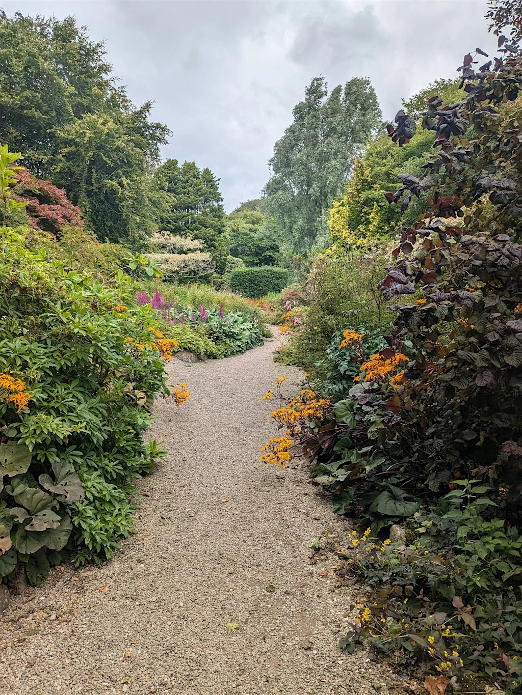 Forest Therapy at Leith Hall at Leith Hall, Garden & Estate (National Trust for Scotland)