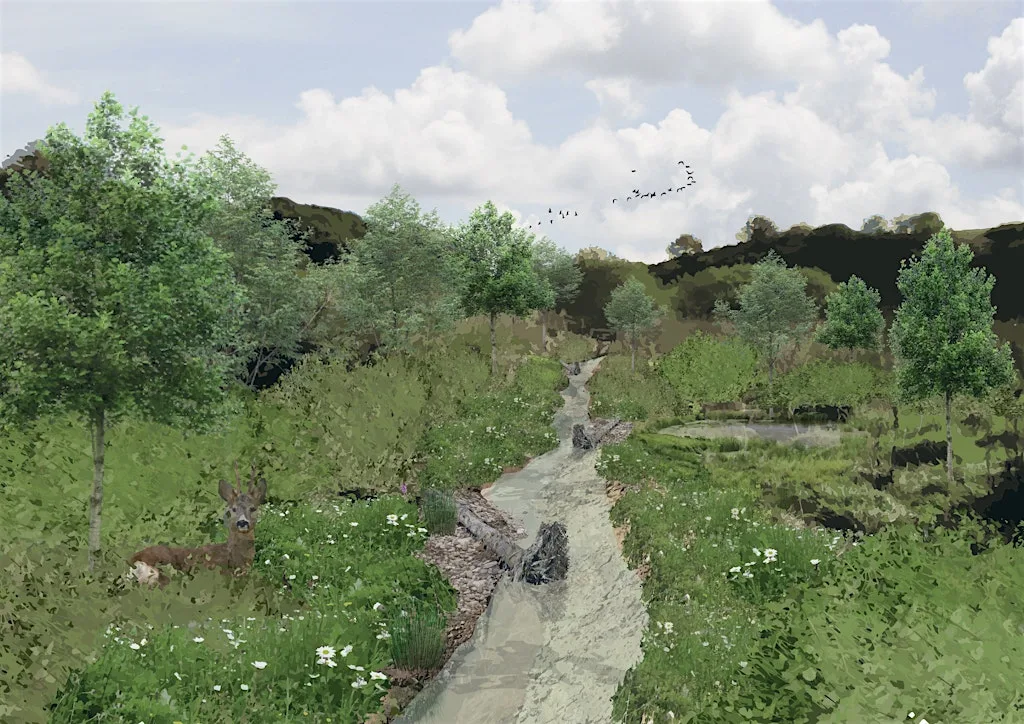 Den Burn Restoration Walk at Den of Maidencraig, Local Nature Reserve, Aberdeen