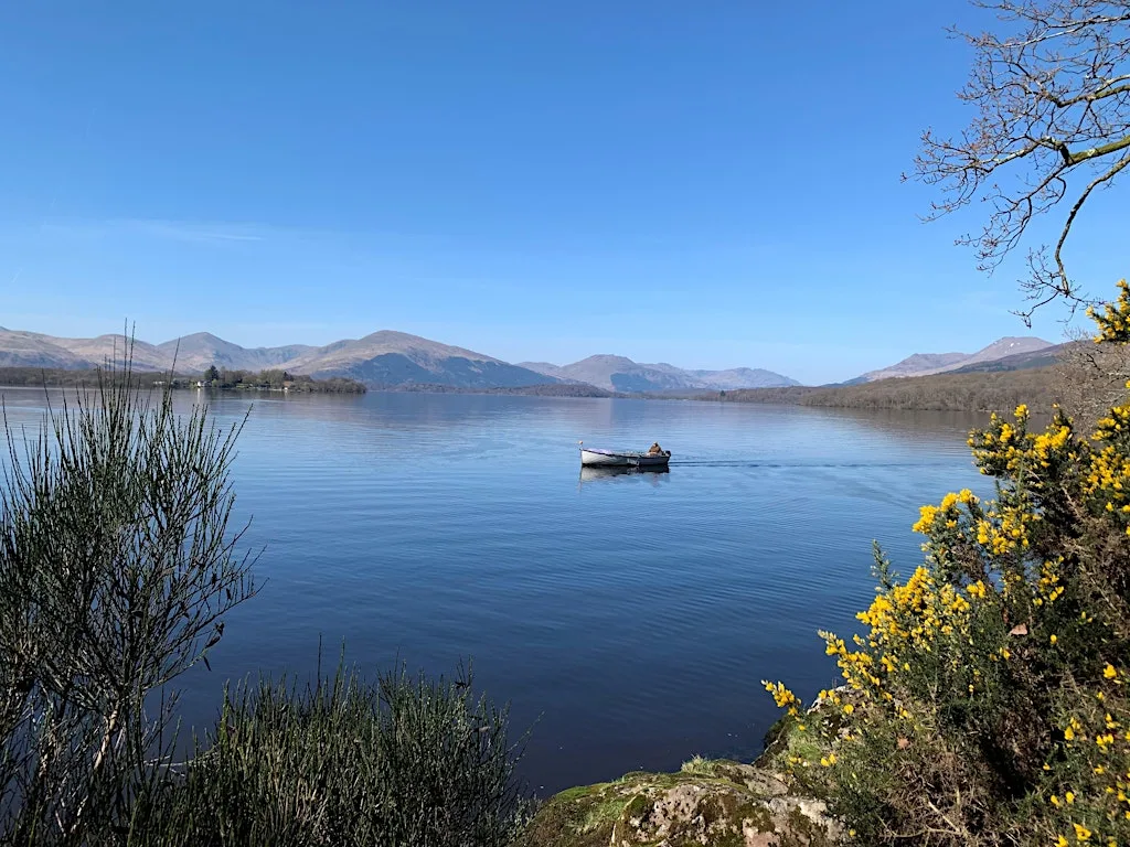 Future Water Demand in Scotland: Challenges and Opportunities