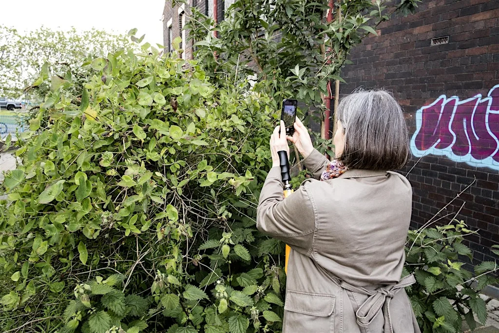 Guided Photo Walk with Wild Edge Arts (Formerly Urban Wilderness CIC)