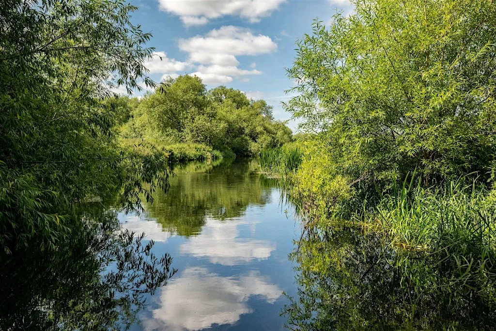 Writing the River